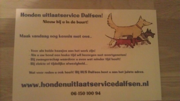 Honden uitlaat service Dalfsen!