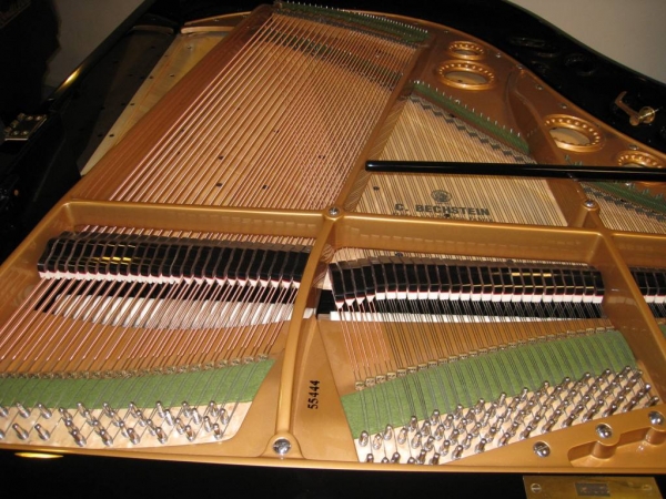 Pianostemmer Jan Derksen — foto 1