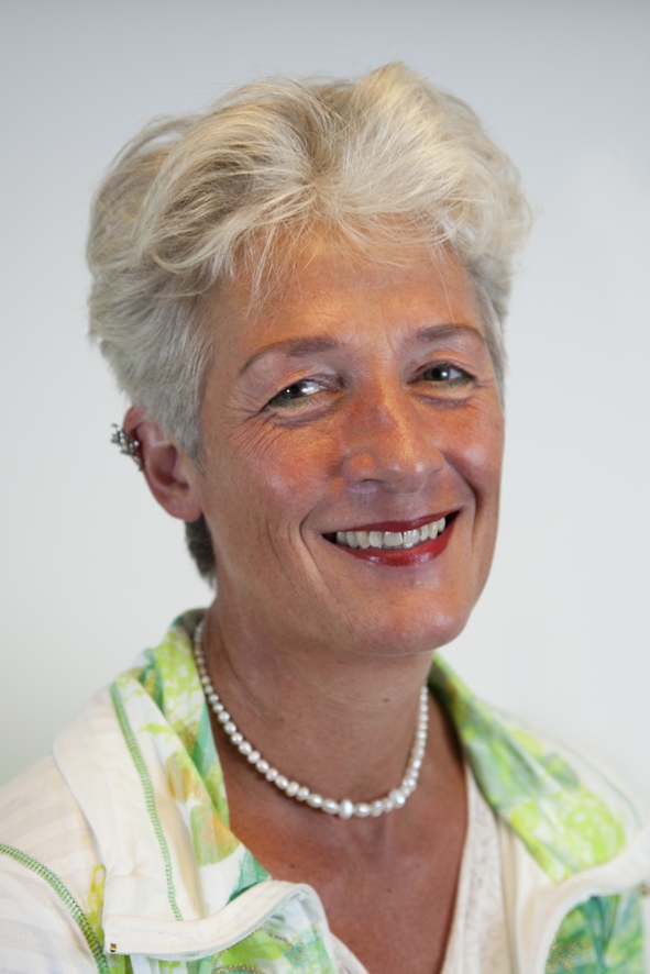 Therapie (zowel individuele als relatietherapie), droomanalyse, familieopstellingen en coaching