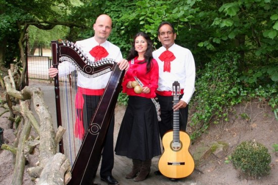 Trio Los Mayas! Mexicaanse, Zuid-Amerikaanse & Spaanse muziek. — foto 1