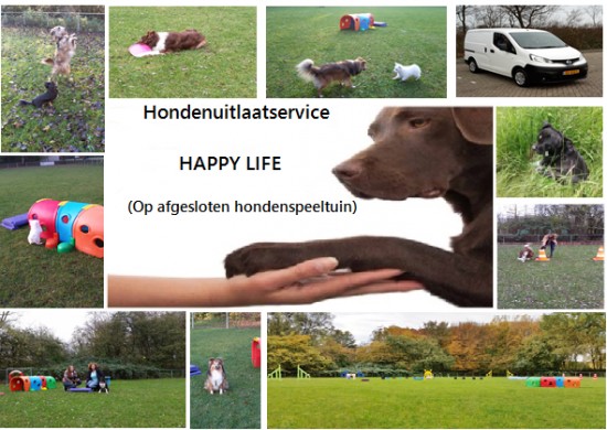 Hondenuitlaatservice HappyLife op afgesloten hondenspeeltuin in Zoetermeer