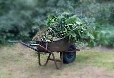 Wil je buiten werken in de tuin?