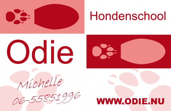 Hondenschool Odie, Indoor training
