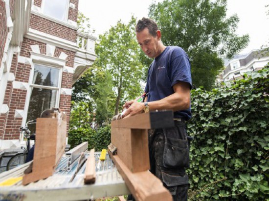 Timmerman Den Haag