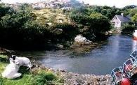 Uw vakantie in Ierland?