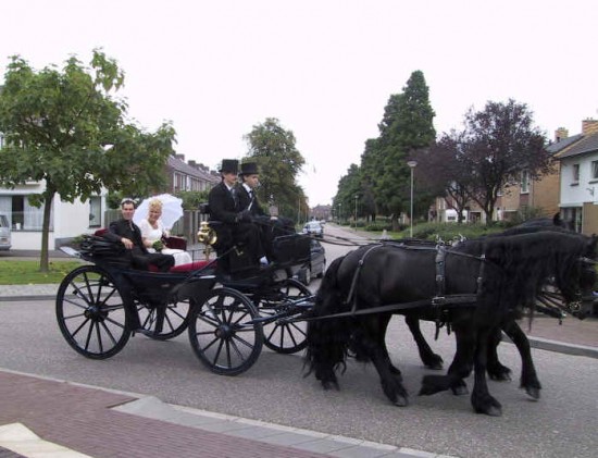 Show op uw evenement? Romeinse Strijdwagen en Koetsenverhuur