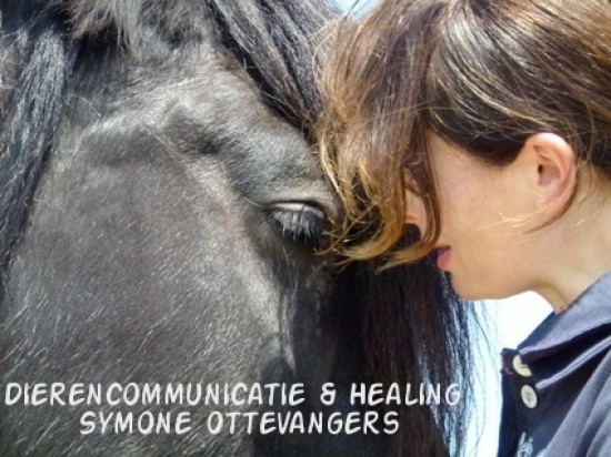 Dierencommunicatie & Healing Symone Ottevangers