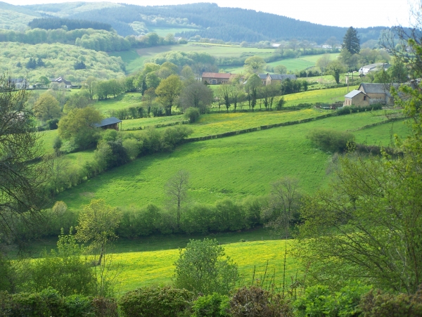 Midden Fr/huis te huur/natuurgebied MORVAN