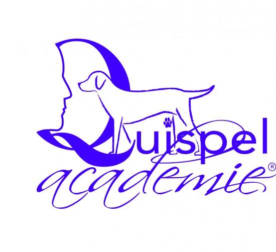 De leukste trainingen en workshops voor en door honden!