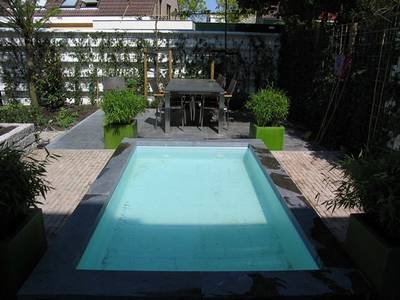 Tuinontwerp,beplantingsplan en advies