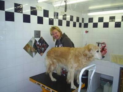 Hondentrimsalon Snuf in Olst