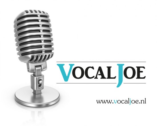 Zanglessen/stemcoaching bij VocalJoe — foto 1