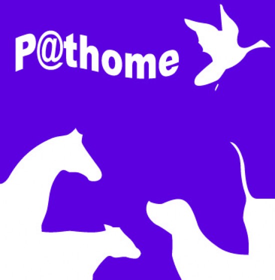 P@thome dierenverzorging aan huis, hondenuitlaatservice