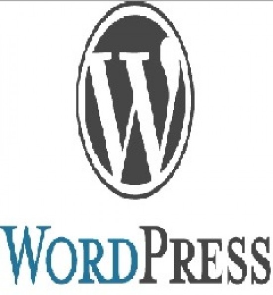 Webdesign student mooie wordpress website laten maken — foto 1
