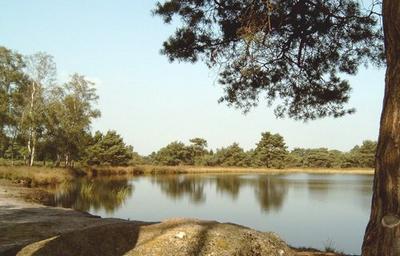 OETINTWENTE.nl zie ook oetintwente blogs