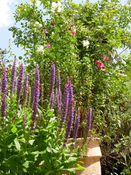 B&B in hartje Andalusië