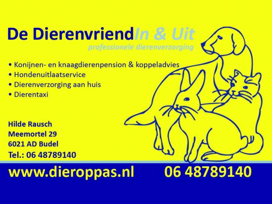 Hondenuitlaatservice en Dier(katten)oppas in Budel e.o