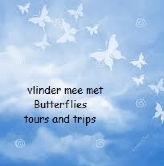 55+ Butterflies tours and trips