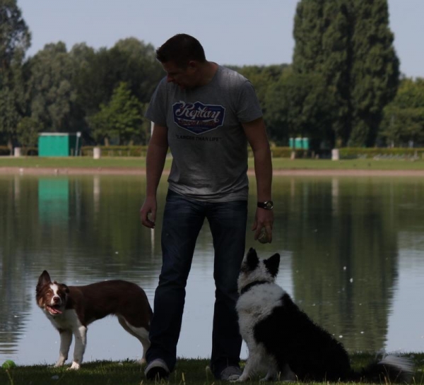 Hondenuitlaatservice Royal uw hond is onze zorg!