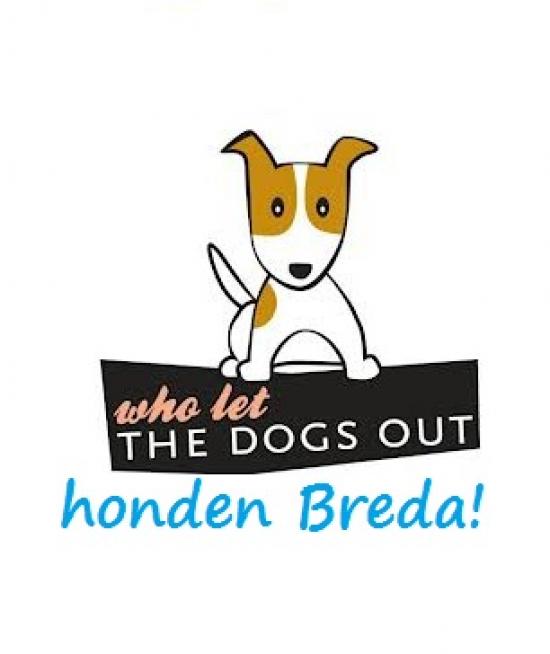 Honden uitlaten uitlaatservice opa's hondenuitlaatservice