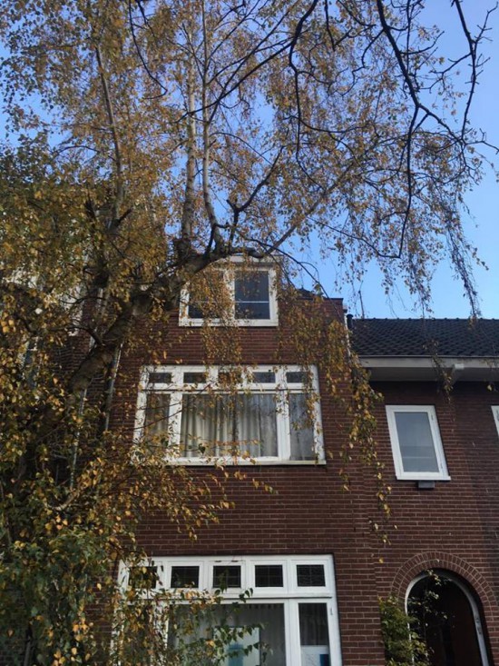 B&B De Berkuil, centrum Nijmegen