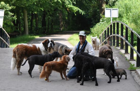 Honden Uitlaatservice — foto 1