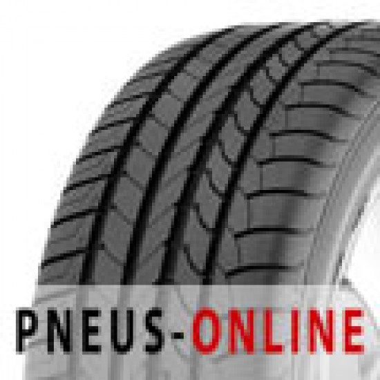 Autoband Goodyear Efficient Grip Performance 205/55 R16 91 W van Pneus Online