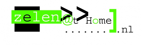 Zelenathome PC Service