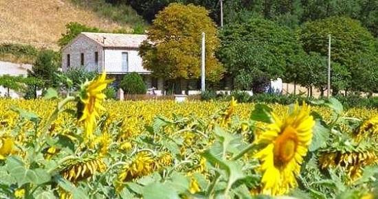 Agriturismo Kastanje — foto 1