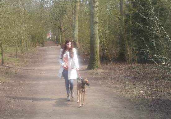 Uw hond zal zijn als thuis - 15 euros day