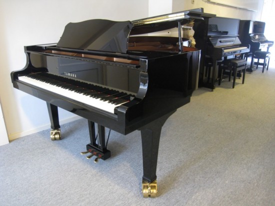 Pianostemmer Jan Derksen — foto 2