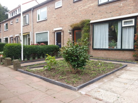 Tuinonderhoud Jeroen Borst Voorjaars snoei — foto 2