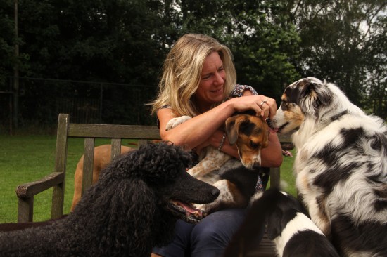 Het hondvriendelijkste vakantieadres voor uw hond!! — foto 2