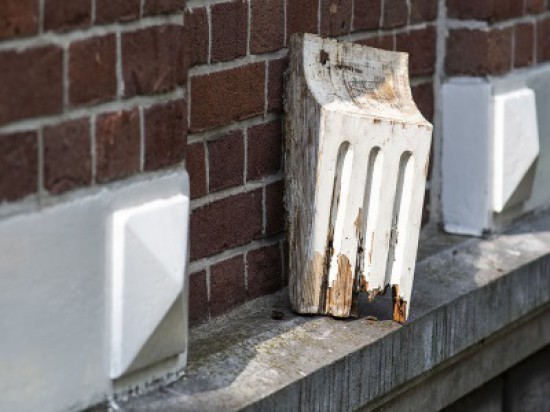Timmerman Den Haag — foto 2