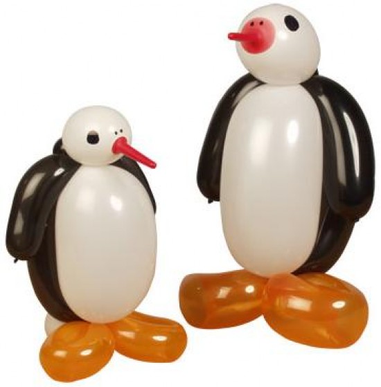 Ballonnen modelleren — foto 2