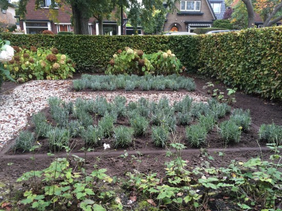 Tuinonderhoud Jeroen Borst — foto 2