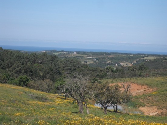 Portugal Alentejo landhuis Casa Bella Villa 7 km van praia de Odeceixe — foto 2