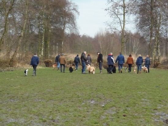 Hulp bij gedragsproblemen, cursus gehoorzaamheid. — foto 2
