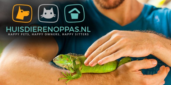 Bijverdienen als Huisdierenoppas? Help baasjes in de buurt! — foto 2
