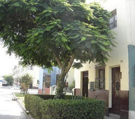 Peru, Lima: Kamers met Ontbijt in centraal Lima — foto 2