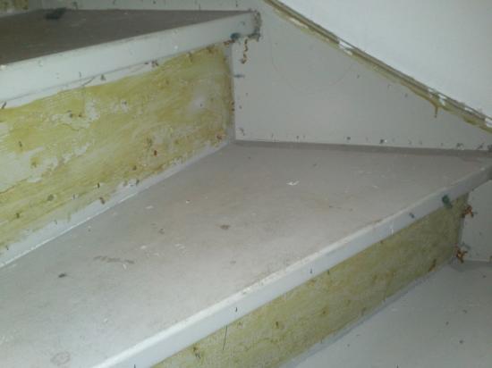 Trap schilderklaar maken — foto 2