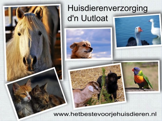 Verzorging van al uw huisdieren aan huis — foto 2