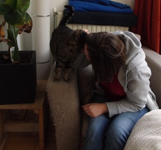 Ideaal voor zowel eigenaar als kat — foto 2