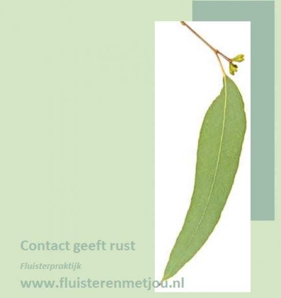 Online Cursus Fluisteren met Dieren — foto 2
