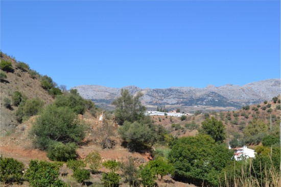 Yogavakantie Spanje, Malaga — foto 2