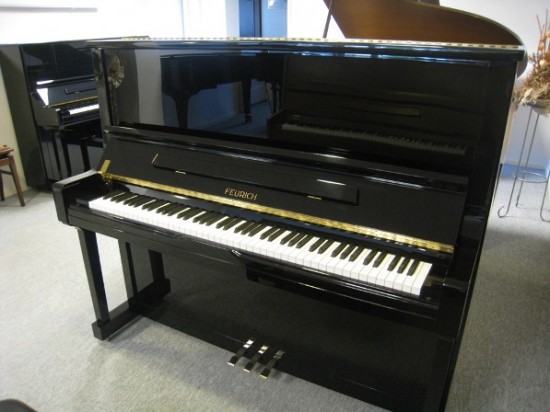 Pianostemmer Jan Derksen — foto 3