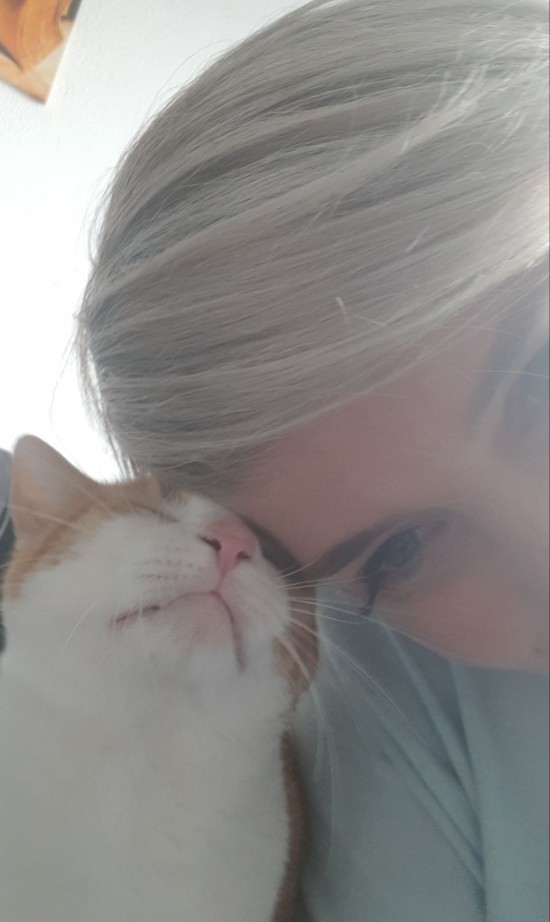 Kattenopvang op locatie — foto 3