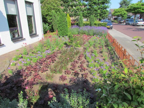 Tuyn ontwerp & advies ontwerp en adviseert uw droomtuin! — foto 3