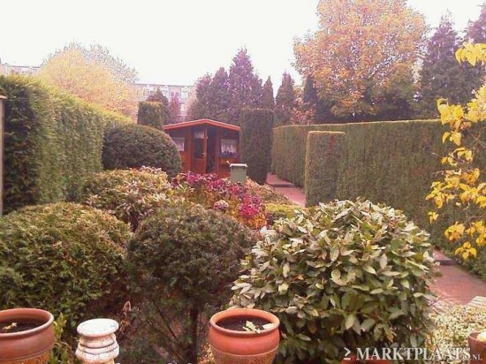 Vakkundige en betrouwbare hulp in de tuin nodig? — foto 3
