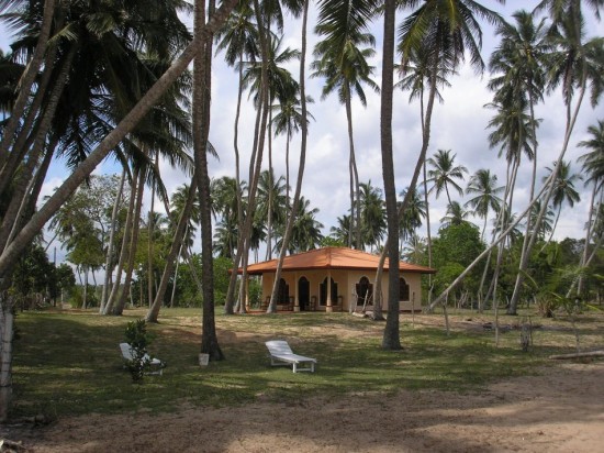 Grundstück zu verkaufen - Sri Lanka — foto 3